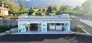 La Fabbrica delle Olive - Azienda